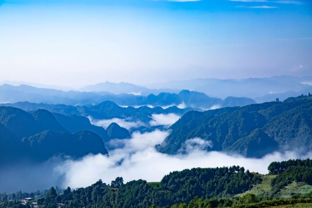 永善:以林长制推动"林长治"