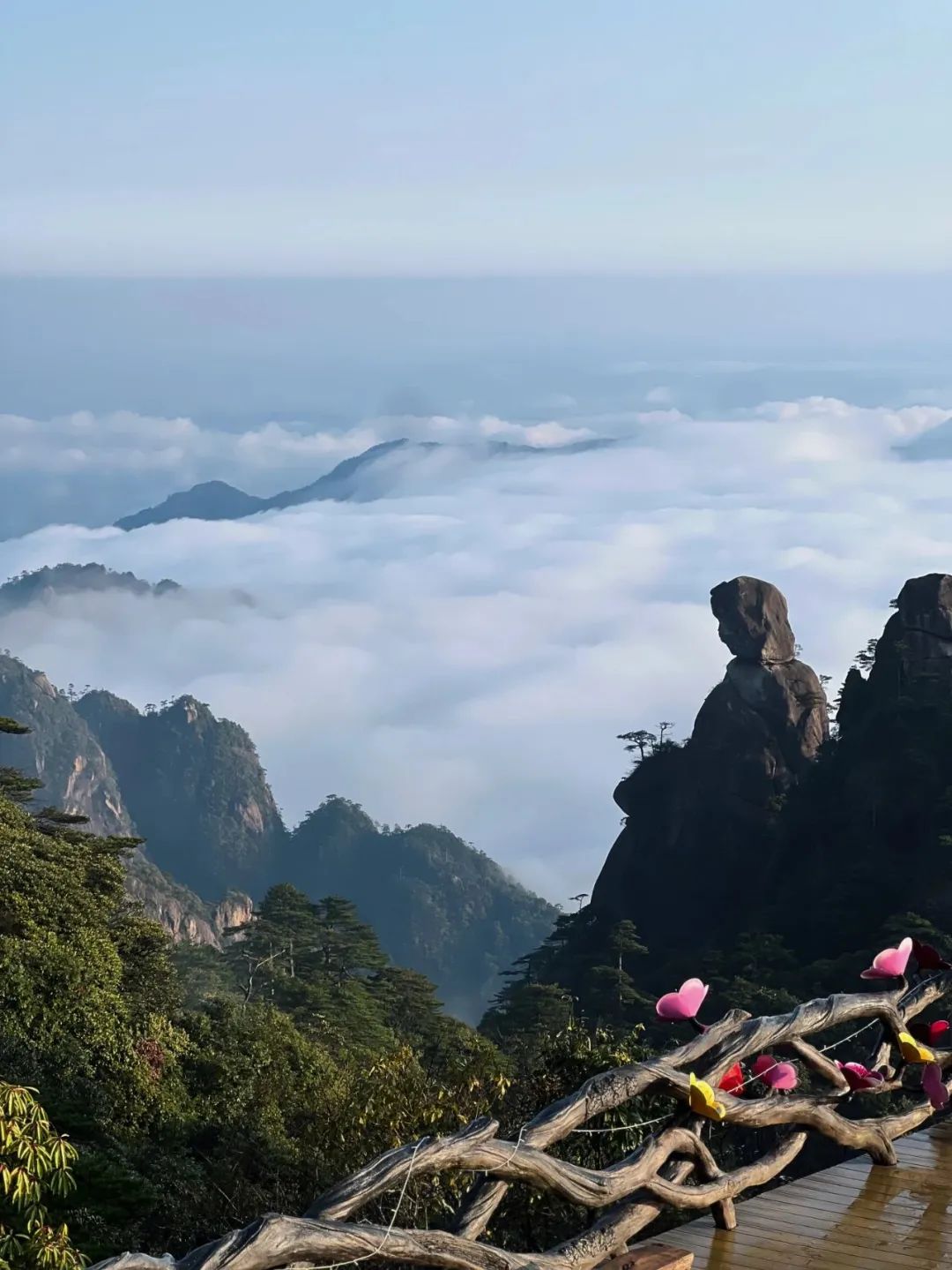 三清山杜鹃谷图片