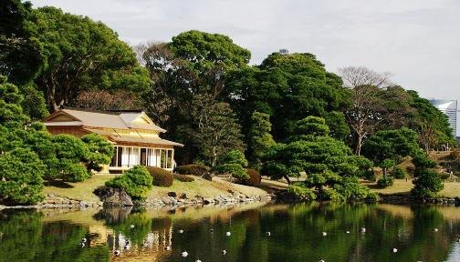 滨离宫恩赐庭园:静谧的庭院,处处都是美丽的景色