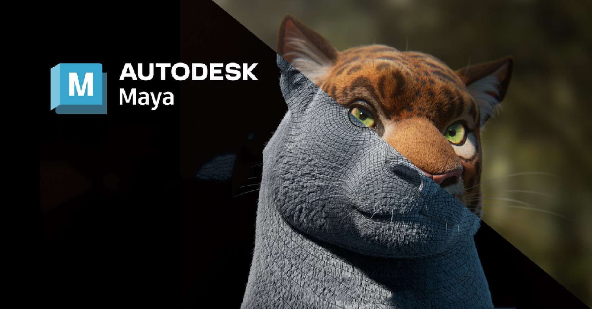 autodesk maya全版本下载安装maya三维动画设计软件中文版下载