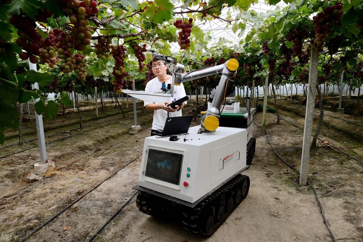 浙江浦江智慧葡萄采摘机器人助力现代农业发展