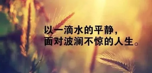 智匯盟東方昱老師心中的