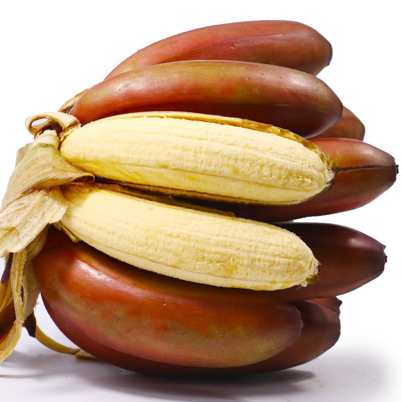 红美人口感比较独特～首先是中性水果,其次香甜软糯～个头还大