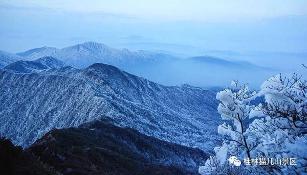 猫儿山迎来今年首场雾凇!冷空气加持,广西气温降降降