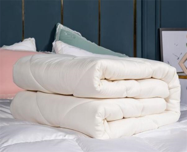 大豆纤维和聚酯纤维被子哪个更好?