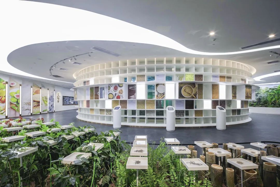 谷雨春耕忙智慧科普妙趣横生的农耕自然主题博物馆