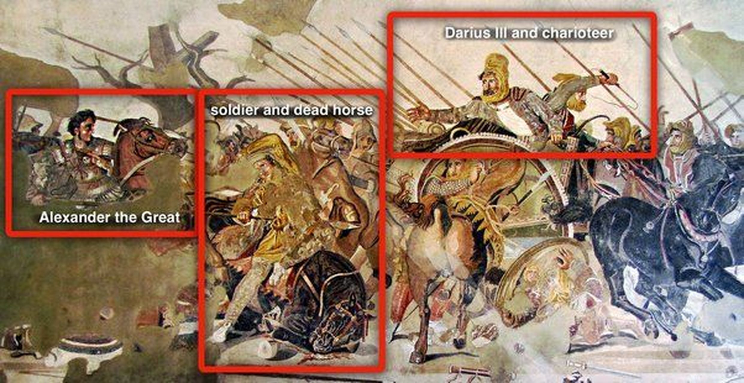 薛西斯在温泉关战役中打过仗吗?  不,没有这样的提及.