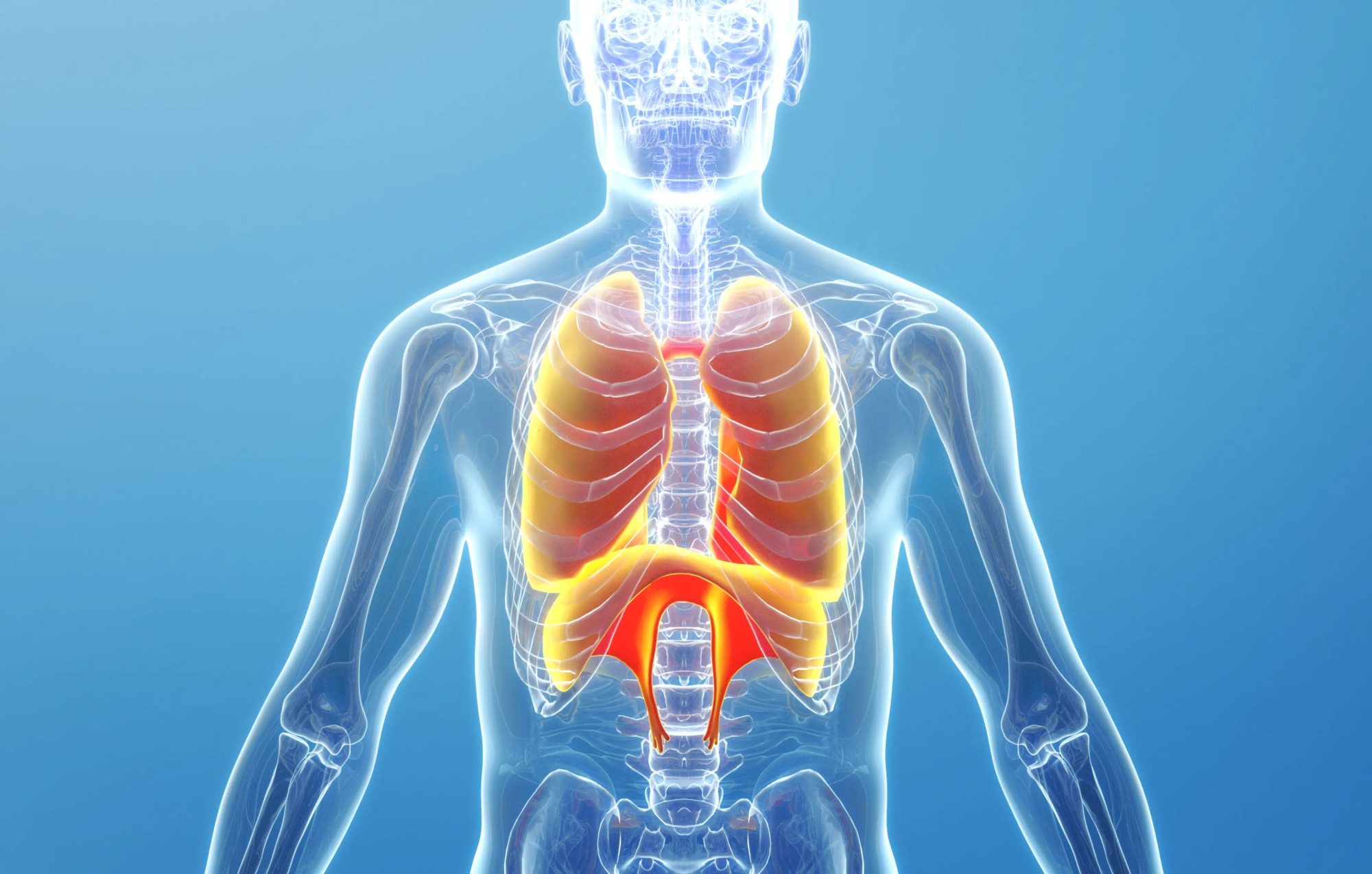 男性器官什么时间开始衰老,自查下,看看你进行到哪步了?