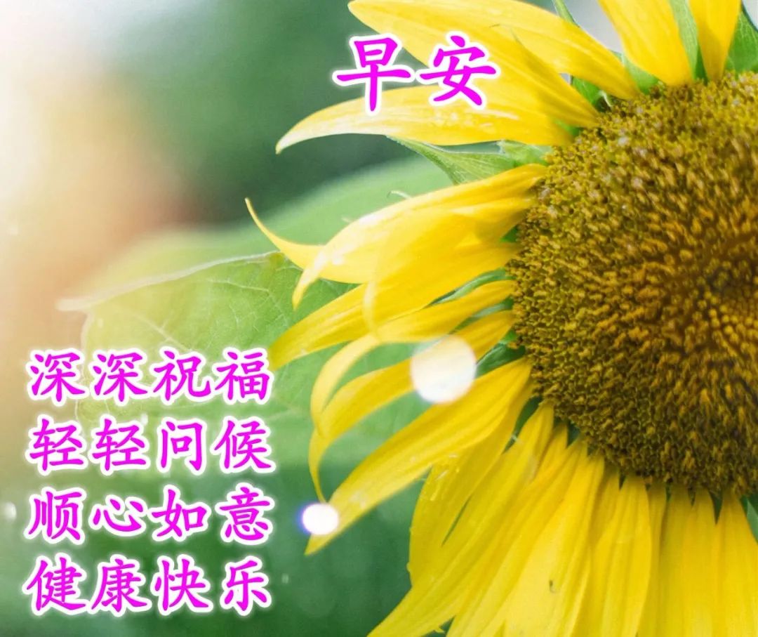 农历五月廿七适合清晨发的早安说说,漂亮的早安问候素材