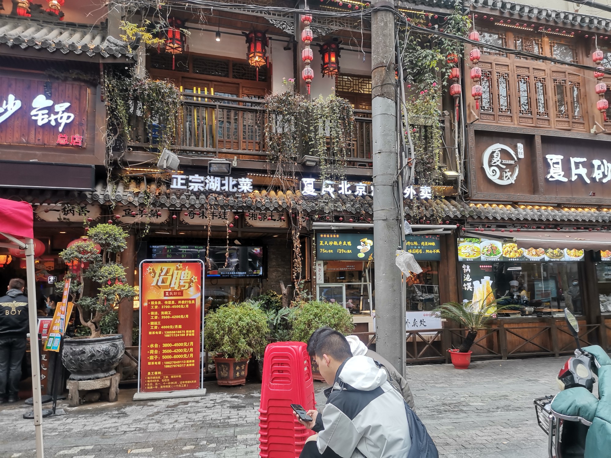 靓丽市容迎宾客:武汉万松园雪松路成为食客网红打卡点