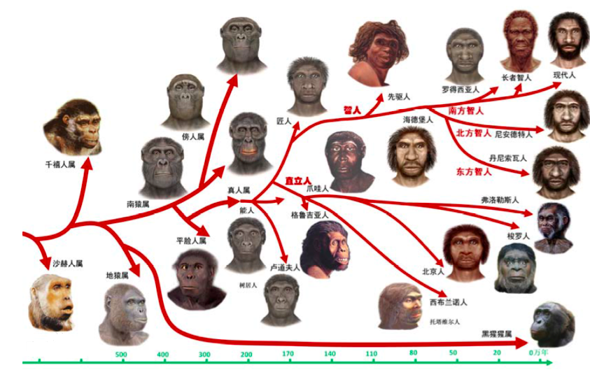 為什麼說一萬年前的人類和現代人沒什麼不同,又有很大不同?