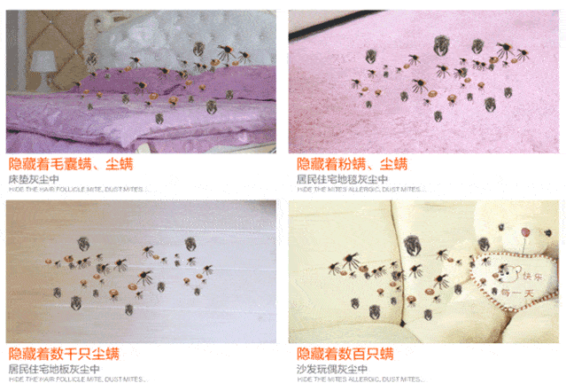 更令人感到困扰的就是,螨虫的繁殖能力非常强,一晚上就会滋生成千上万