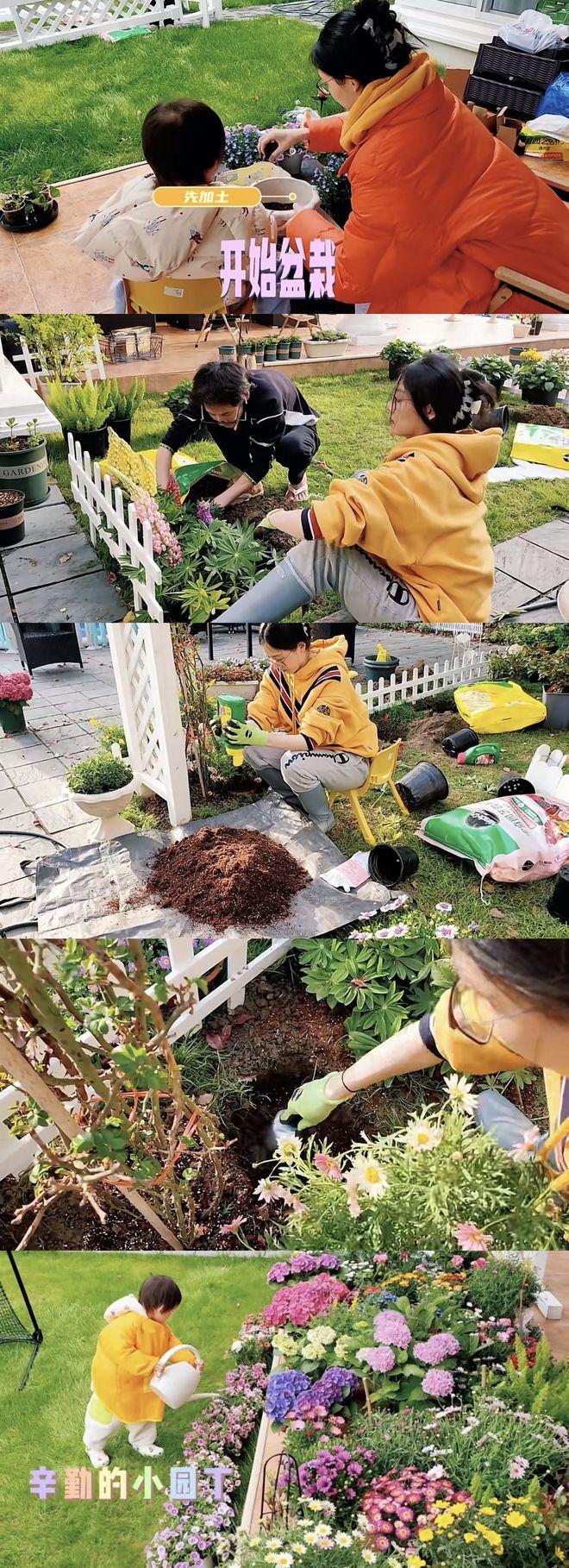 苗苗称自家豪宅是租的,买土种花精心布置,郑凯打球毫无兴趣