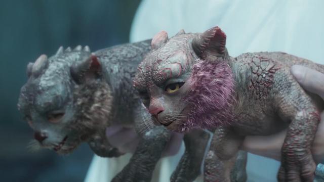 《雪旱刀中行》中徐凤年的两只小虎夔结局怎么样了