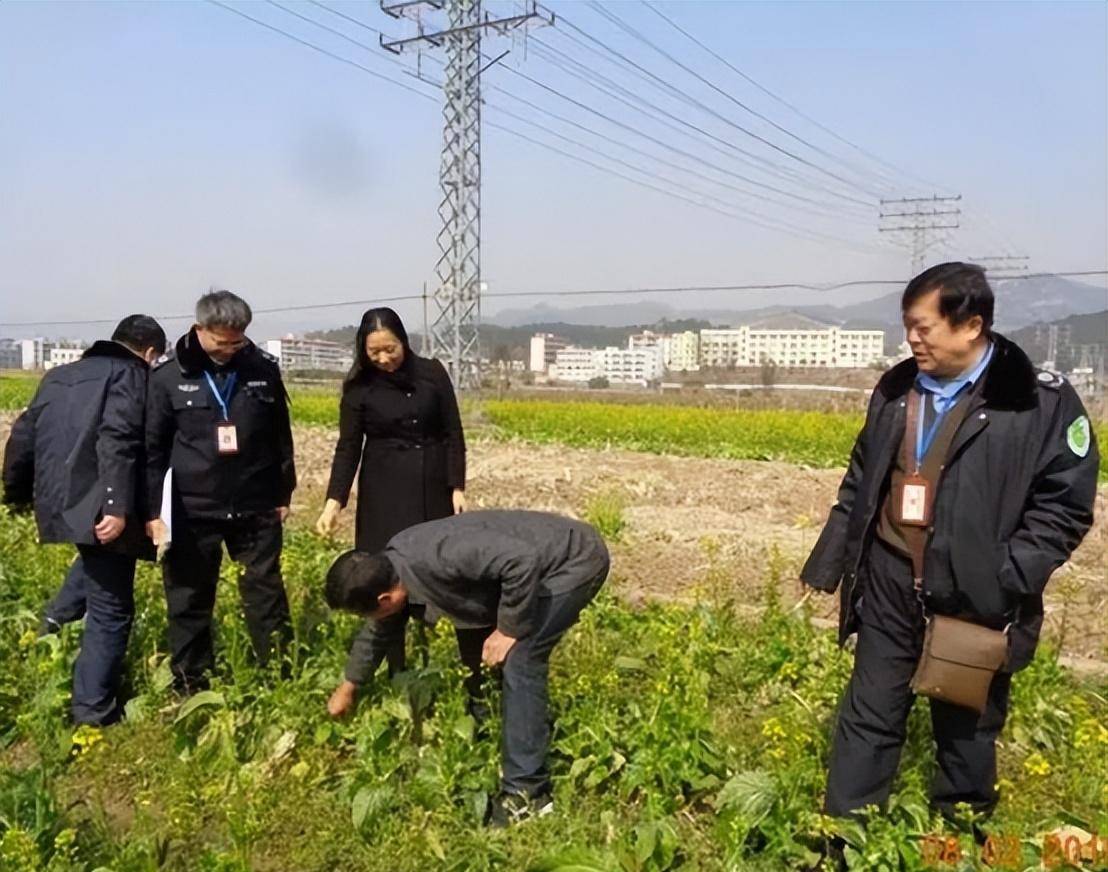 管子大队图片