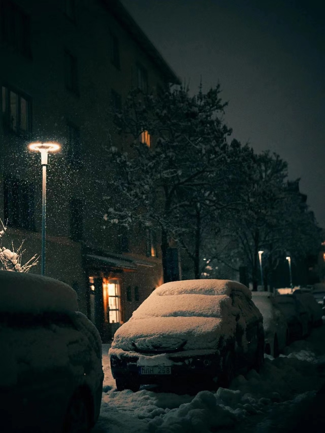 雪景不如人美图片