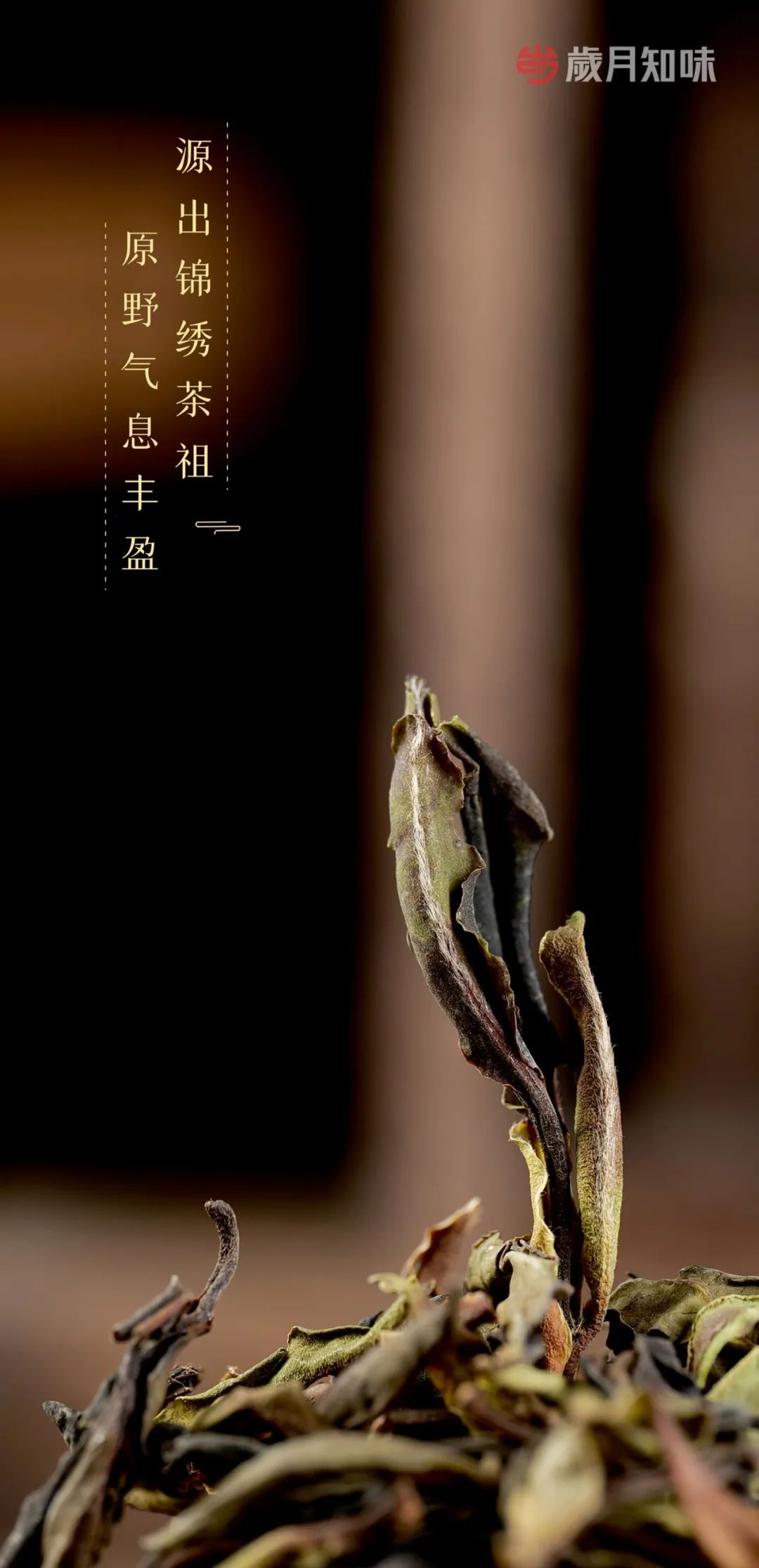 新品上市!原野秘境蕴极品,韵幽力强锦绣白