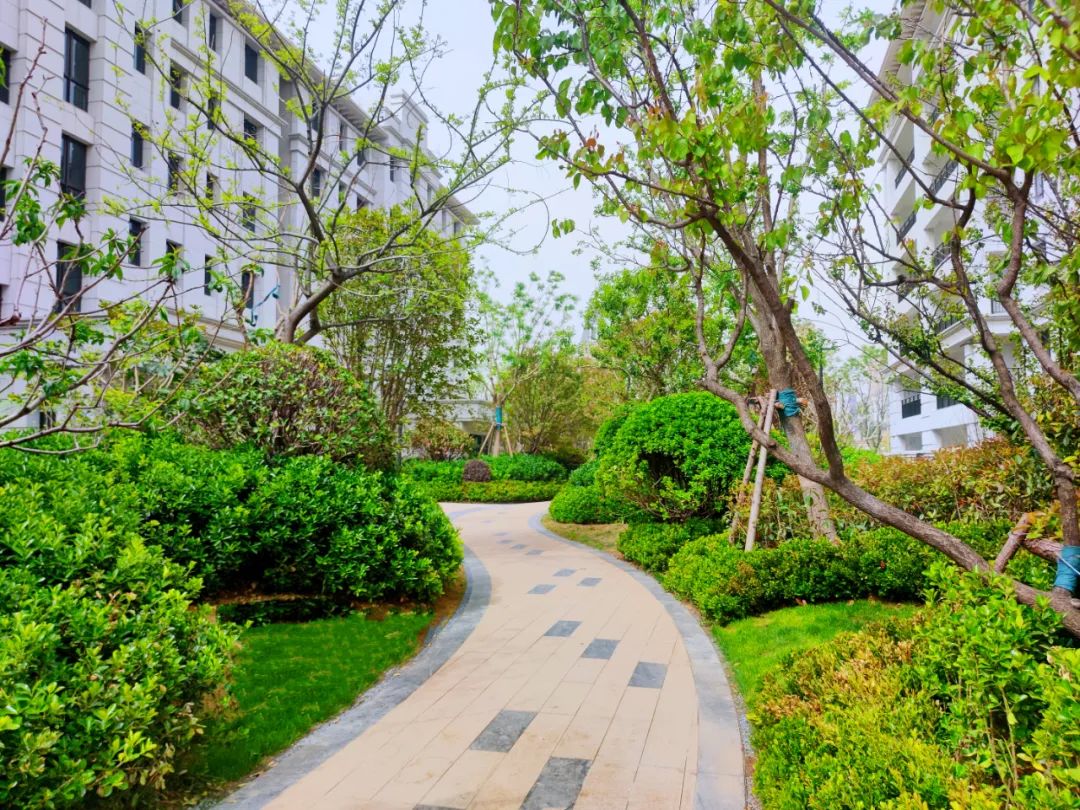 「现象级」的海马公馆二期,提前76天交付!