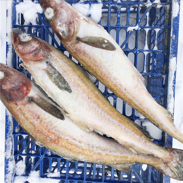 明太鱼,朝鲜族的特色美食