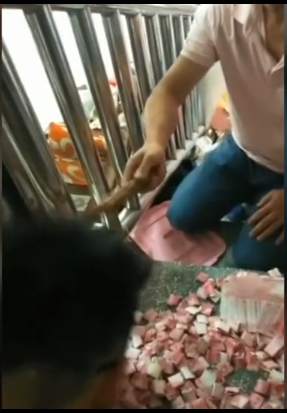 推荐男子楼梯扶手藏钱3年后取出惊喜坏了：一家4人坐着数钱数到手抽筋