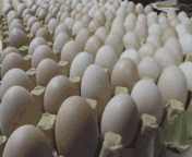 中奖|西安大三女生中奖2万包锅巴，请全校同学免费吃！同学：人美心善