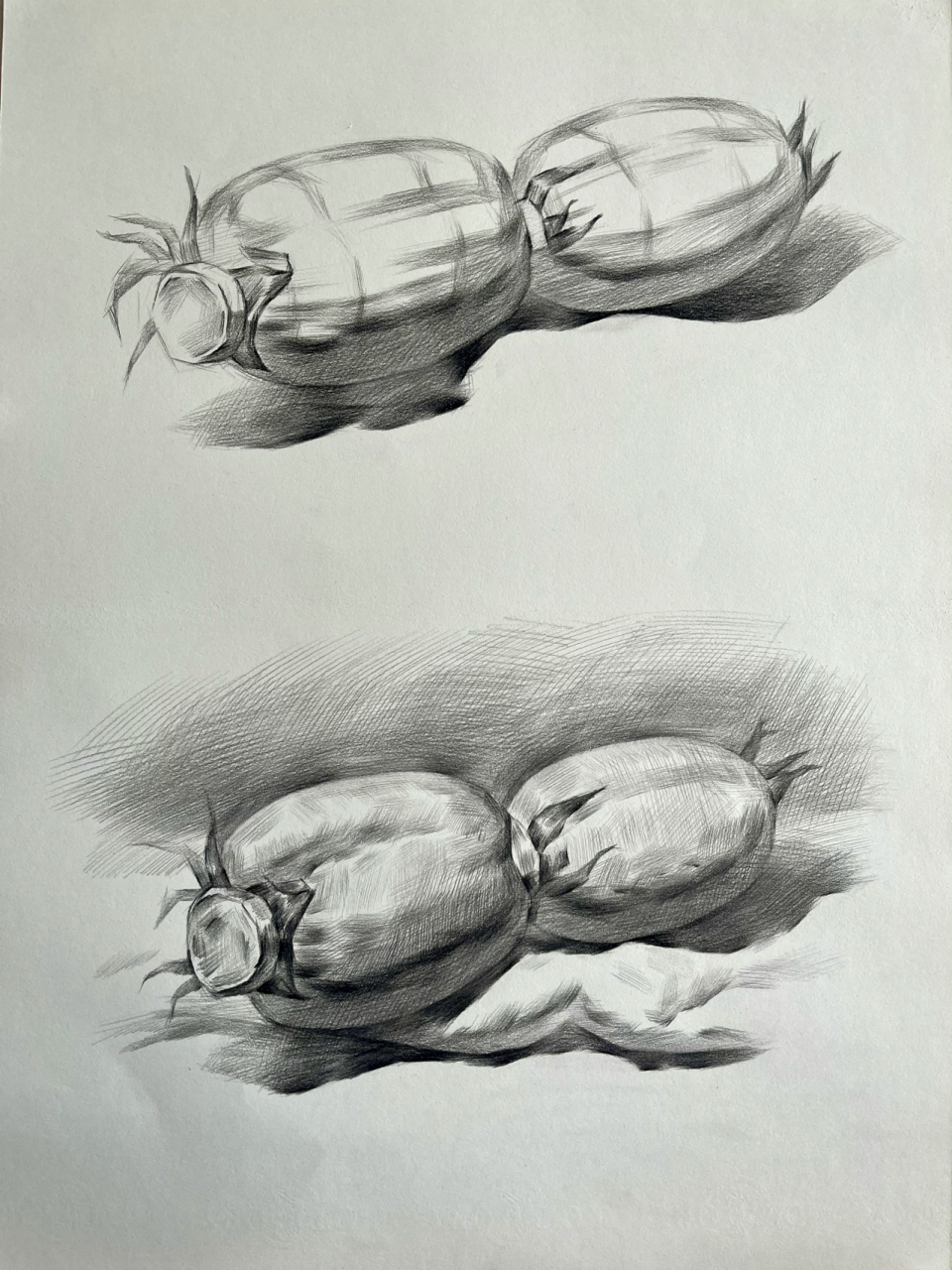 素描静物莲藕画起来 今天打卡蔬菜类莲藕 1.