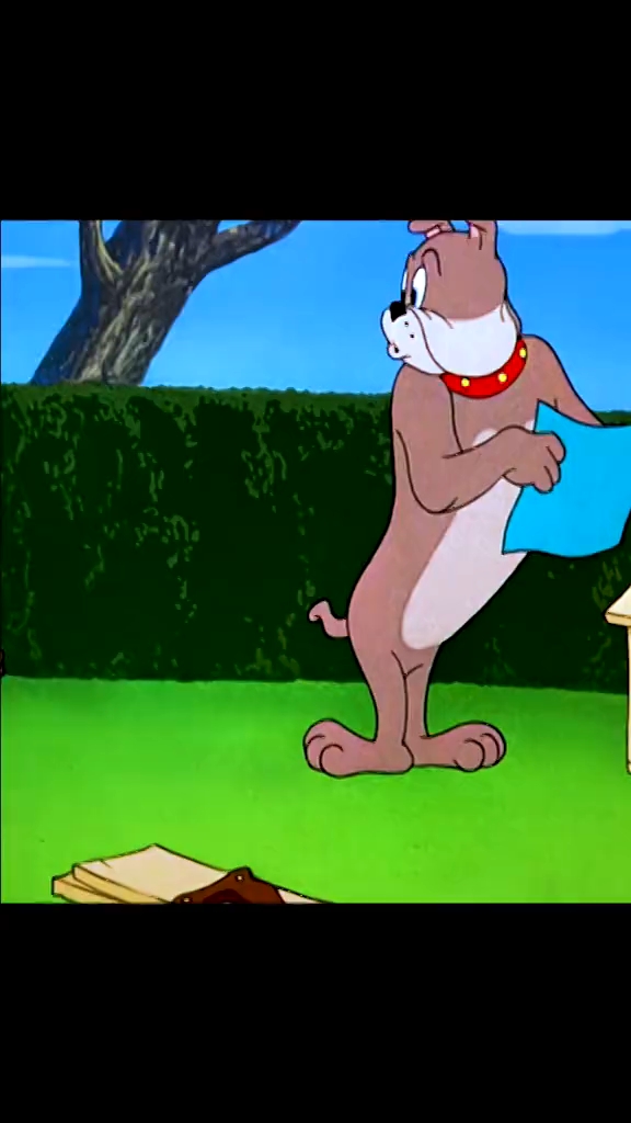 猫和老鼠tomandjerry保护不了狗屋