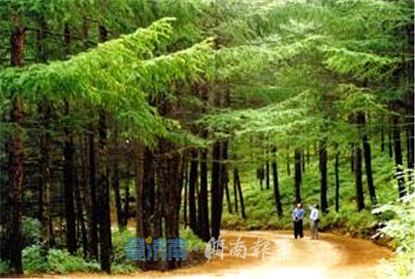 濟南黃河森林公園改造3年不開門?天橋區:10月1日前開放