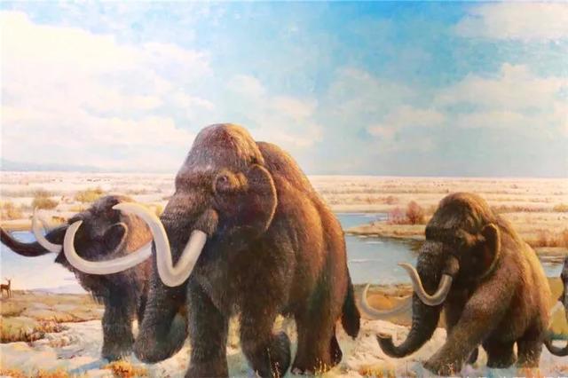 地心人给人类的
告诫（黄河的地底下有多
可怕）