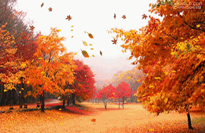 400_260gif 动态图 动图