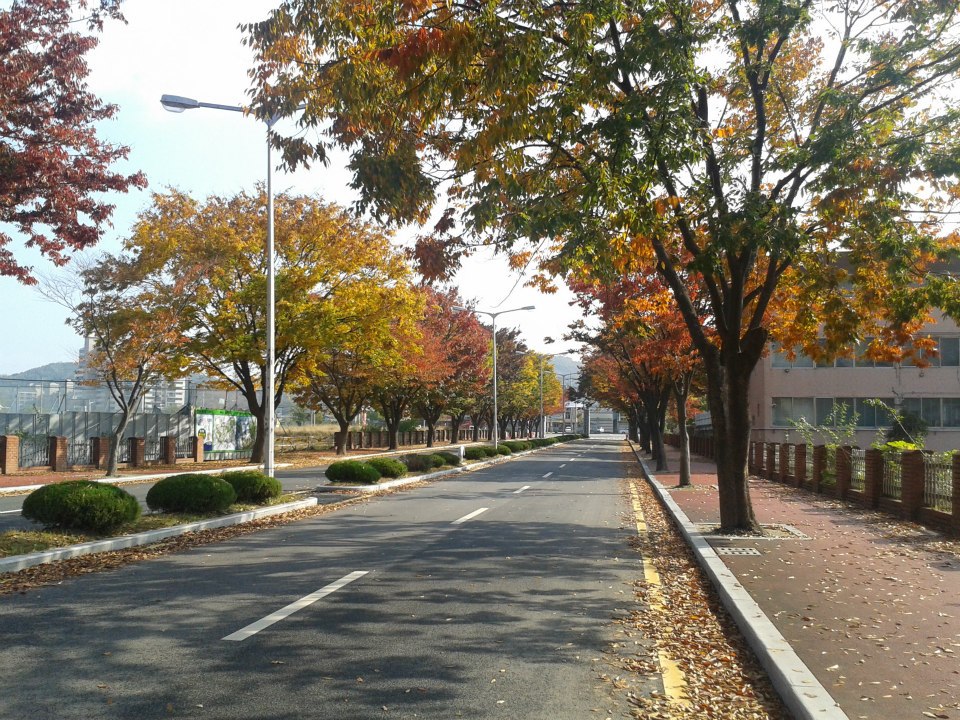 韩国国立公州大学图片