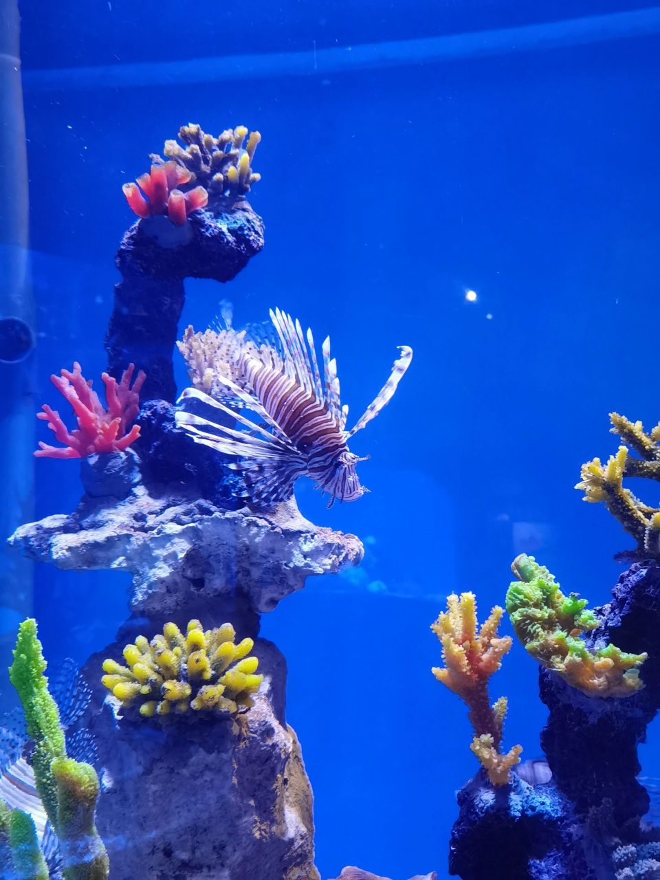 天津国家海洋博物馆,不来后悔0505 海博馆太好逛了!