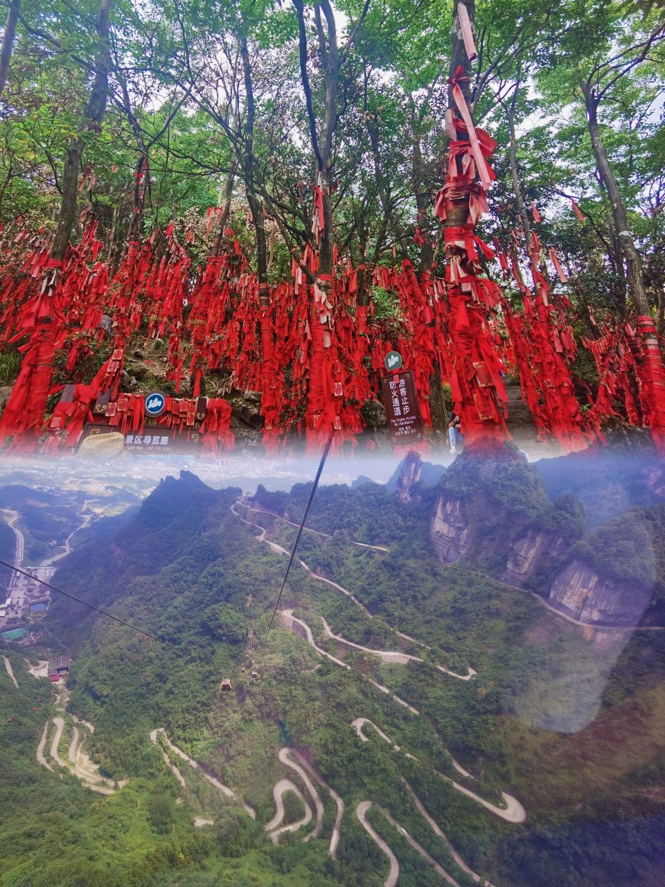 半小时缆车坐了 玻璃栈道走了 天门山索桥走了 67七级穿山电梯坐了