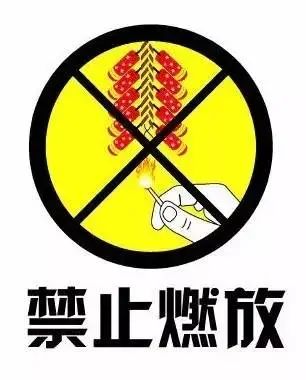 禁止携带烟花爆竹图标图片