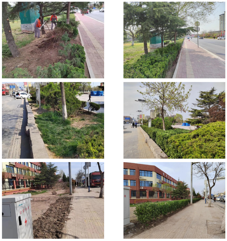 棘洪滩街道开展"春风行动拂滩里"微更新行动