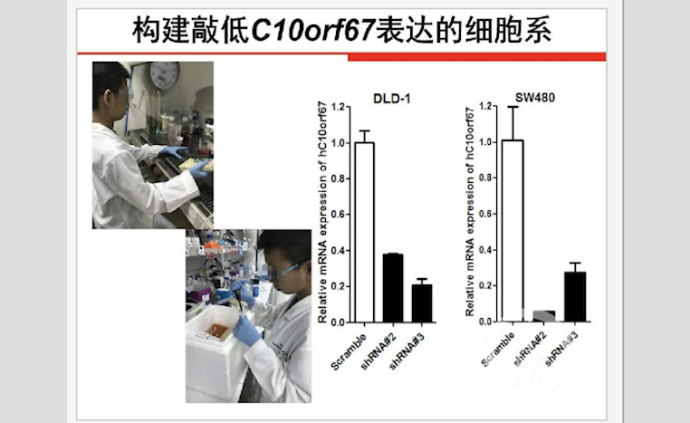 关注|小学生研究癌症论文一等奖被撤销，新华社调查：“神童”们的奖如何评出？