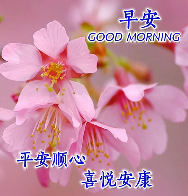 早安暖心语适合发朋友圈 朋友圈早安经典语录