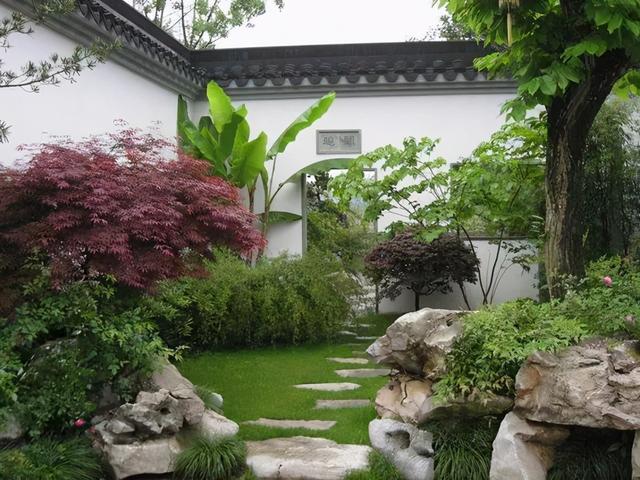 3种花买得起养不起,常被人叫"花园三坑",陷进去难出来
