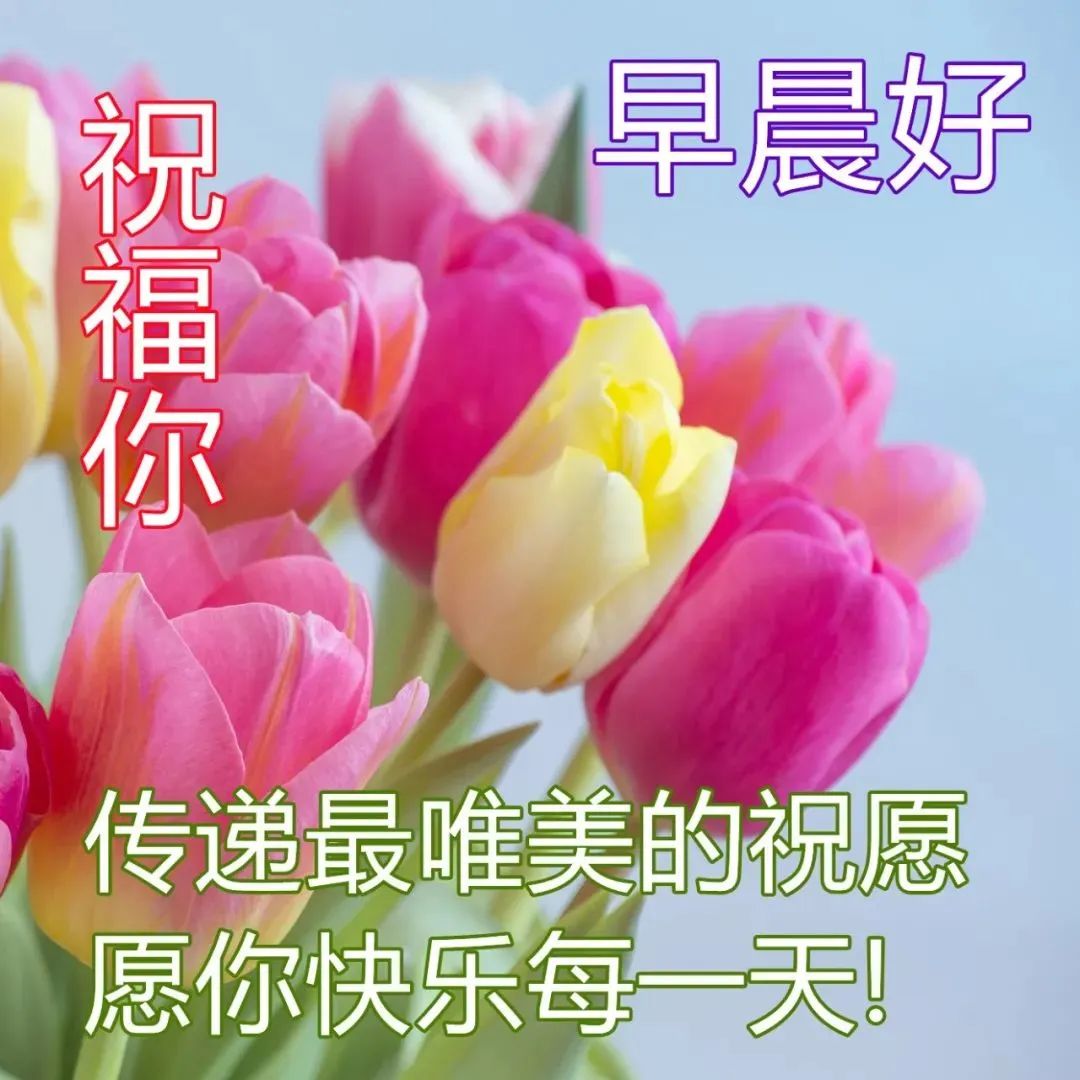 早晨问候大家早安的句子图片 2023最美丽的早上好祝福表情