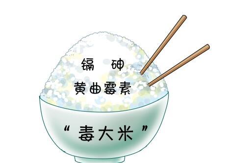 2001年七八月間, 廣州市場發現了大量含黃麴黴素的劣質大米, 這就是