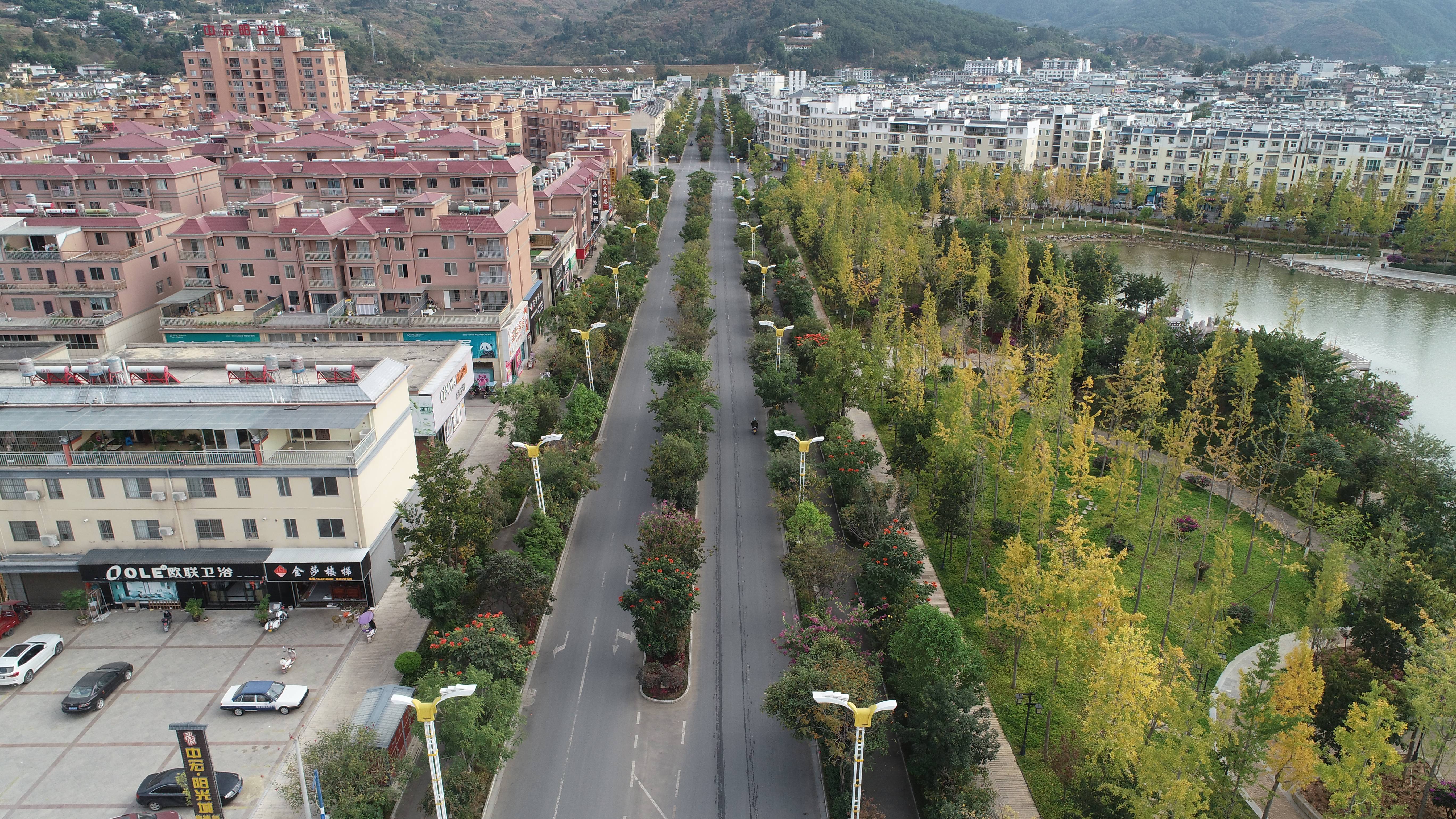 保山市施甸县绿美城乡富生机