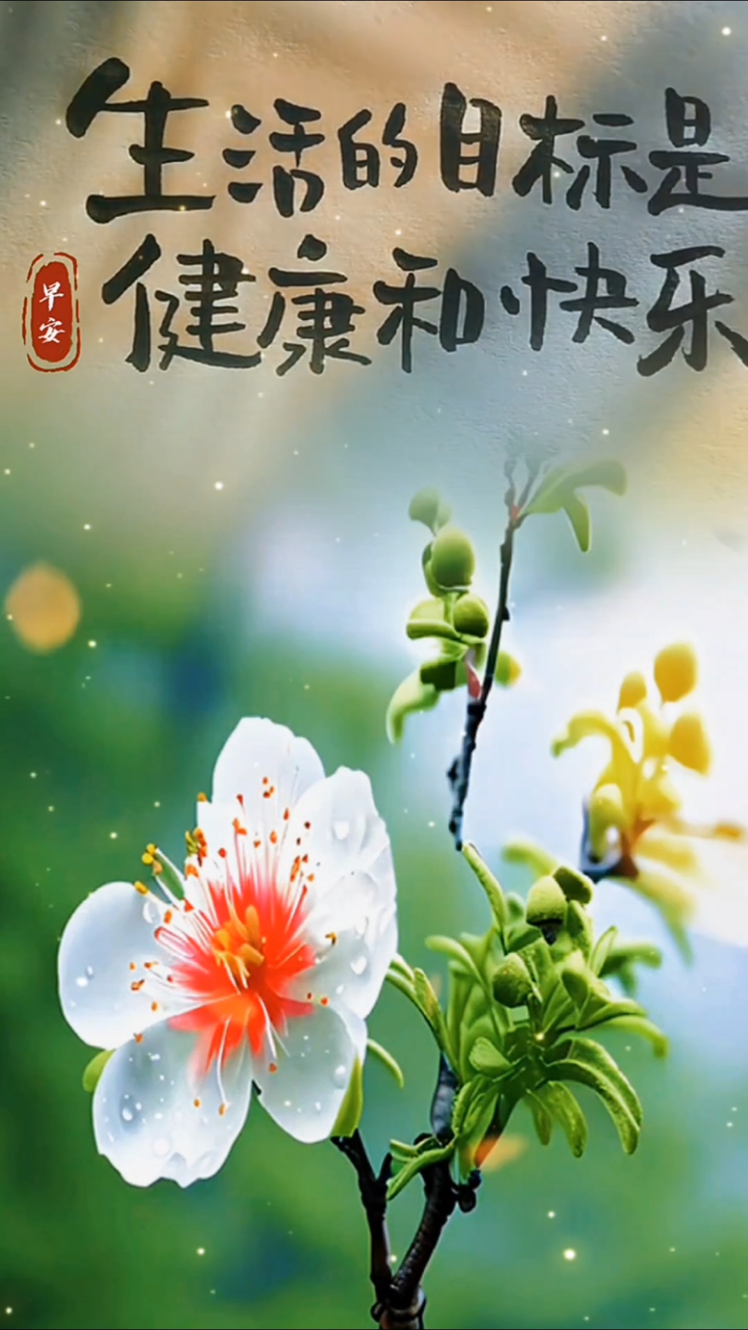 《生活的目的是健康快乐》人生感悟