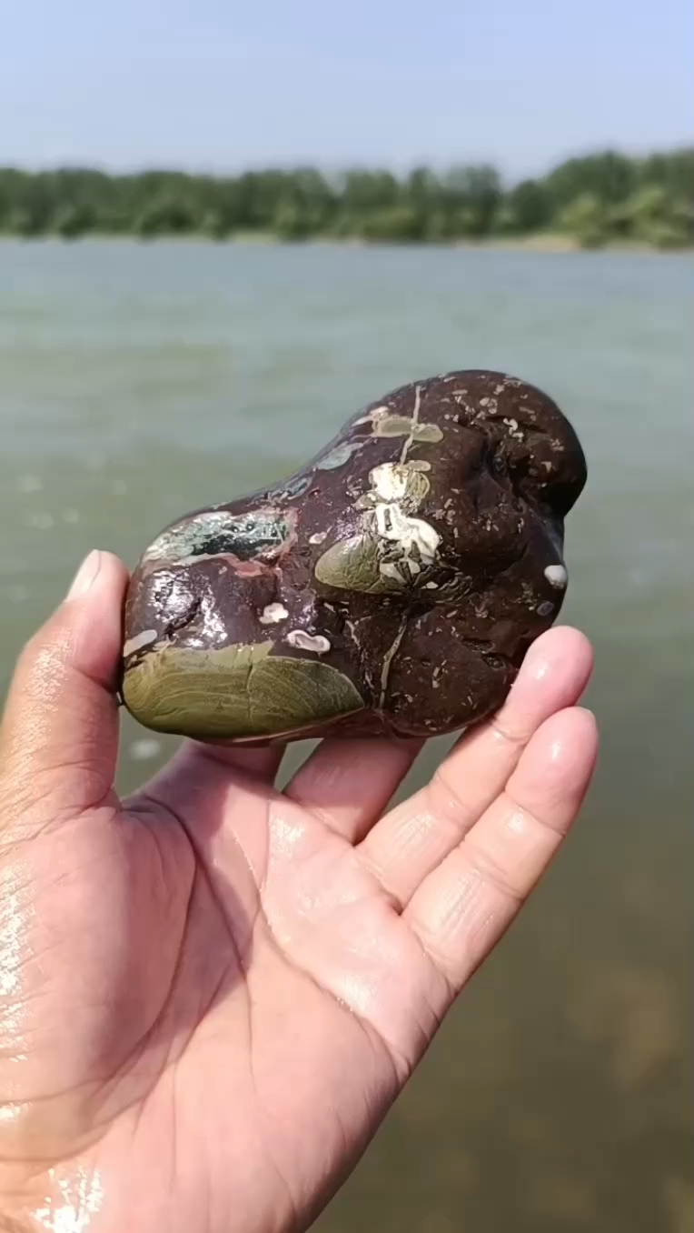 洛阳荷花石,石上有荷,枝头有鸟.