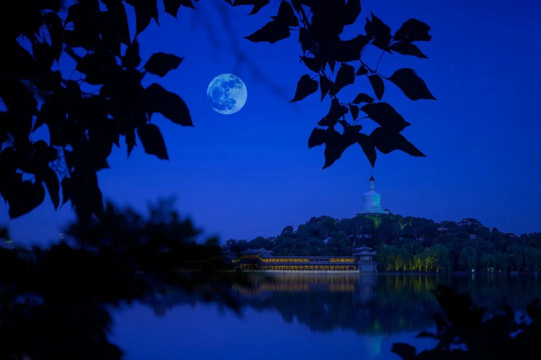 秋天,不容错过的月光