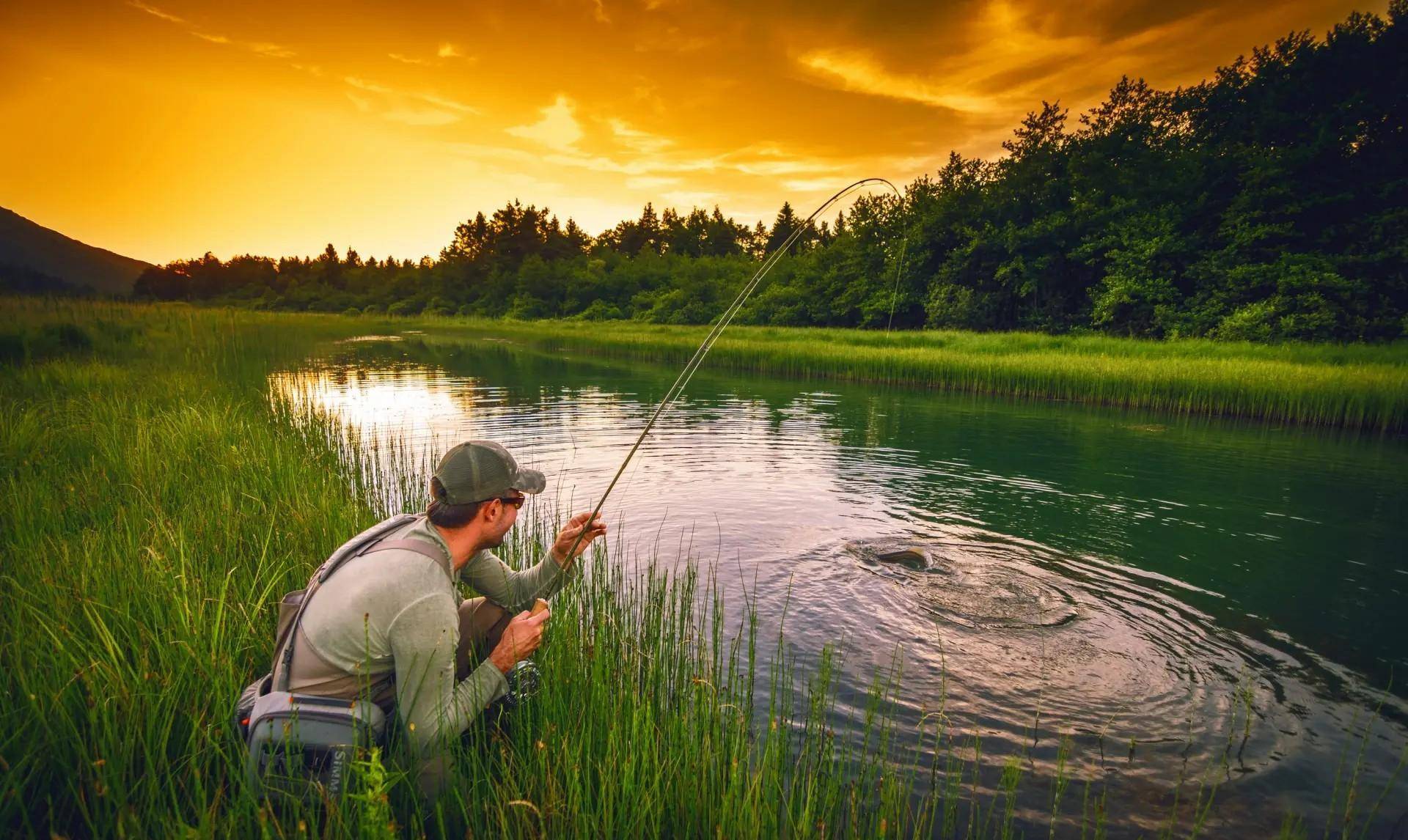 梦到钓鱼，男性心中的隐秘愿望与内心世界的探索