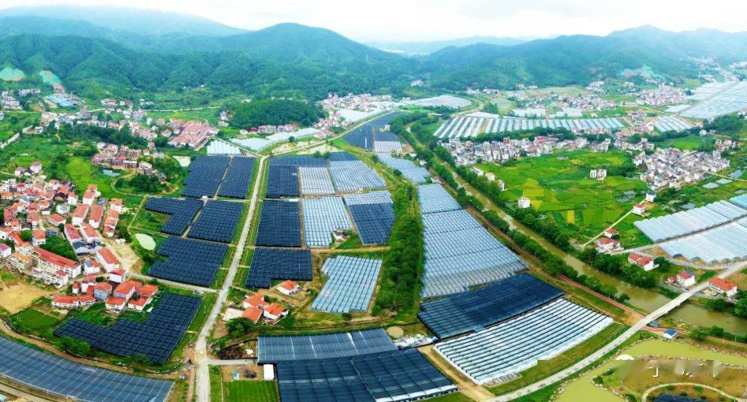 西部地区新型农村集体经济发展的案例分析——以蒲城县为例