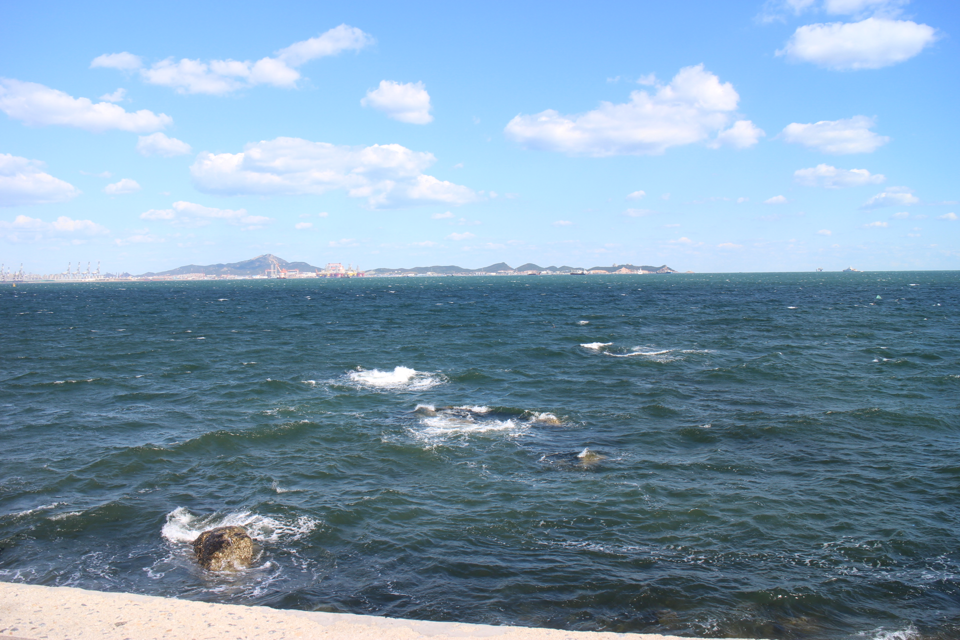 美国卫星拍下山东海边景象,引网友热议:这简直是"反人类"现象