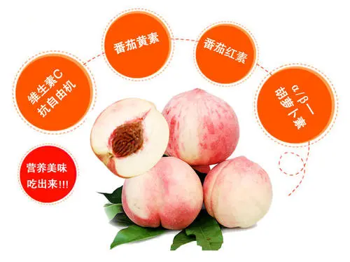 桃子的功效与作用桃子的营养价值有哪些
