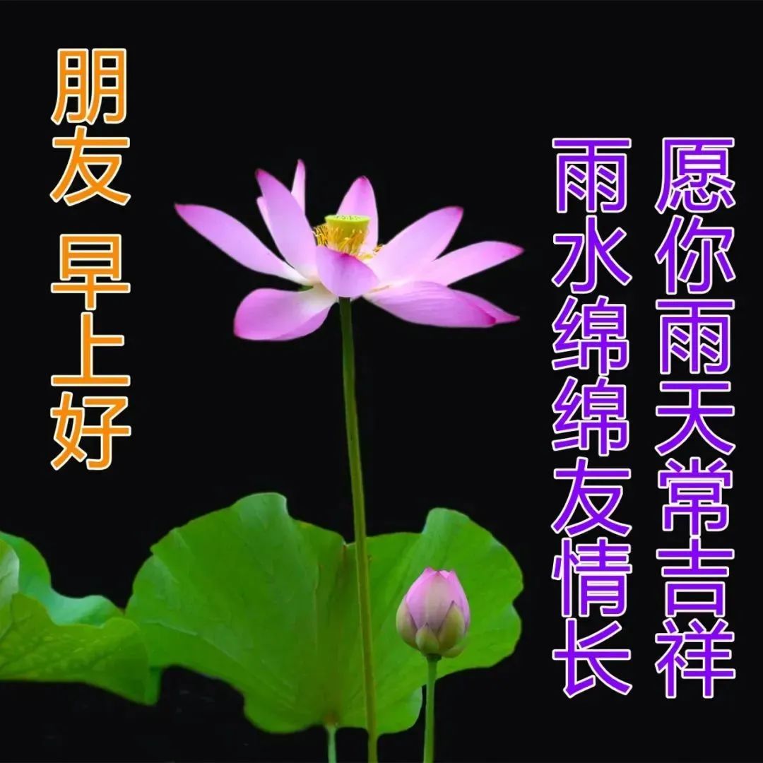 真挚美好的早上好正能量问候语,发朋友圈免打字的早安祝福语图片