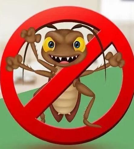 很多人不知"蟑螂"的天敌是啥:房间放1个它,蟑螂"消失了"